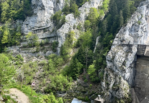 23-05-20 11-39-09 5484